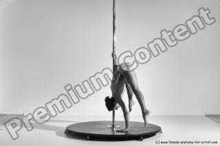 poledance reference 04 06